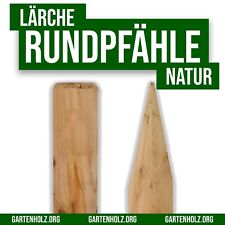 Pali pali larice legno pali