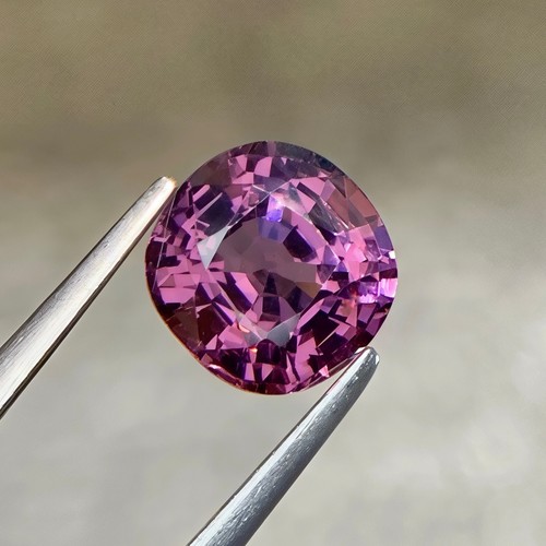 Cuscino spinello rosa viola - spinello,