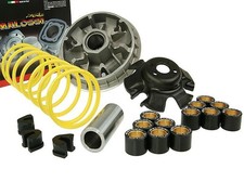 Variatore sportivo malossi - sportivo,