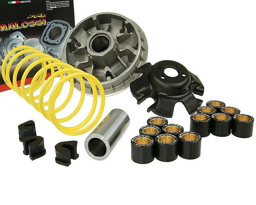 Variatore sportivo malossi - sportivo,
