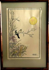 Stampa colorata uccellini