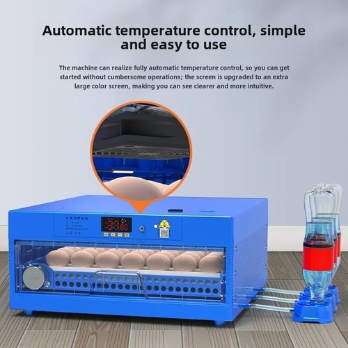 Piccola incubatrice automatica - incubatrice,