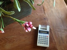 SHARP - Calcolatrice elettronica Elsimate EL-8181 - Vintage  80