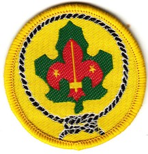 Boy Scout Badge Bound