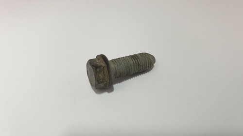 Bullone cerniera porta