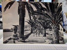 Cartolina Diano Marina Viale delle Palme 1965 BR420 ^