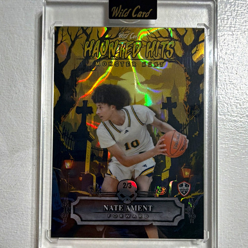 Wild card haunted - wild, hits