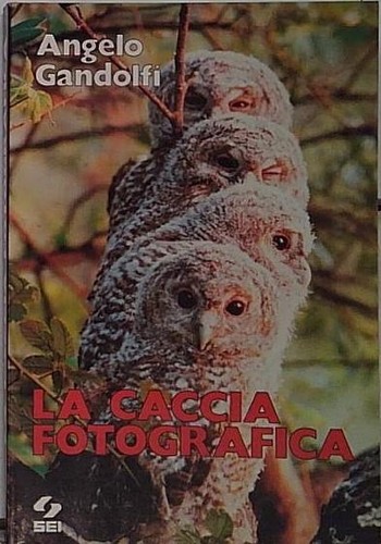 Gandolfi caccia fotografica - la,