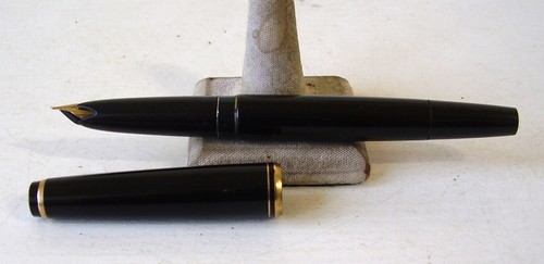 Rara penna stilografica