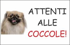 CARTELLO SEGNALETICO -