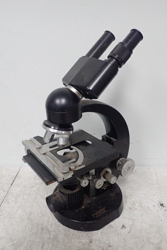 Microscopio binoculare vintage