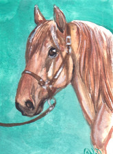 ACEO originale acquerello arte