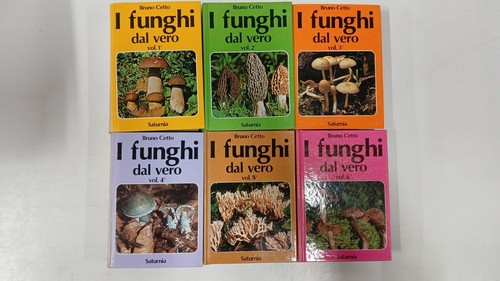 Bruno cetto funghi dal - -,