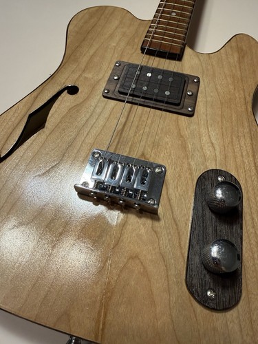 Electric guitar custom - electric,
