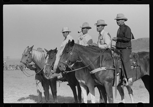 Foto giudici rodeo - foto:,