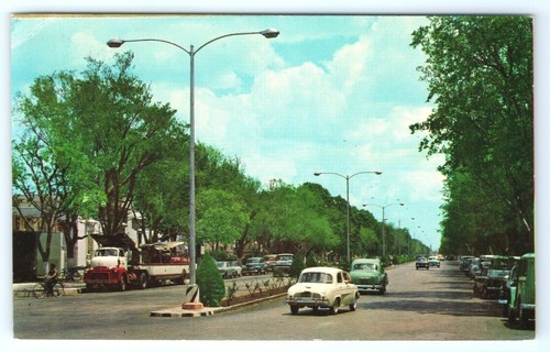 Vintage postcard paseo - postcard,