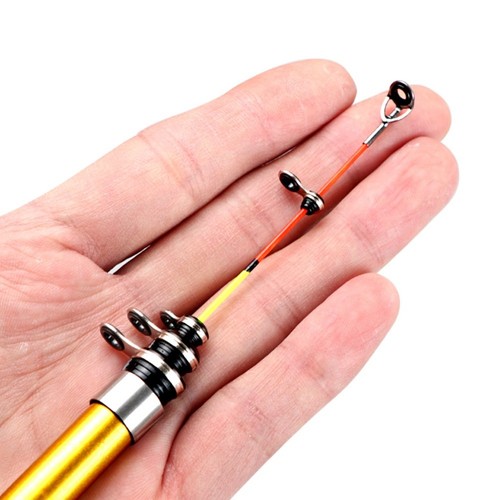 Canna pesca portatile - canna, da