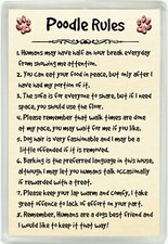 Calamita jumbo umorismo cane