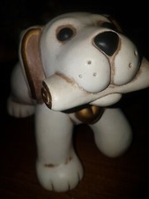 Thun, animali, cane Todo con