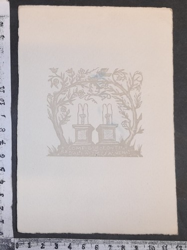 Wunderkammer exlibris 382 - exlibris,