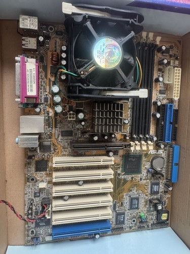 Scheda madre atx asus - madre,