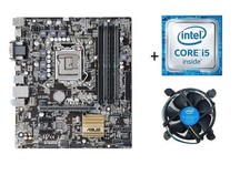 Kit asus scheda madre socket - kit,