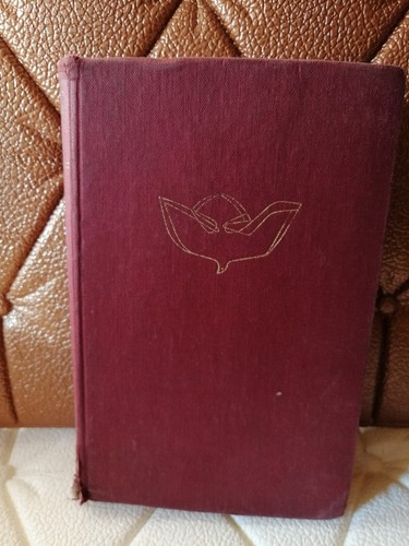 Katholische schulbibel patmos - katholische,