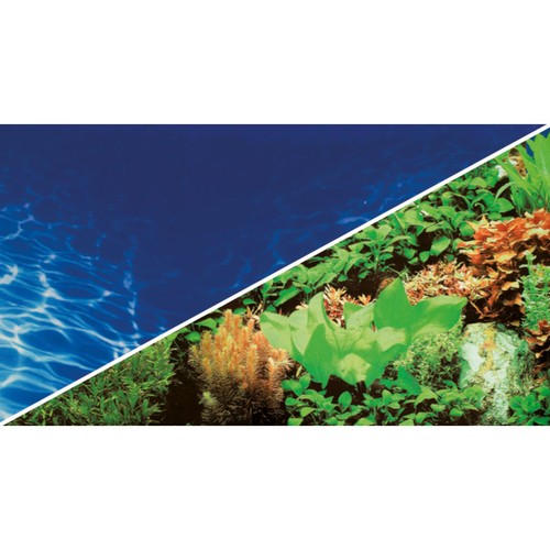 Hobby parete posteriore foto - parete,