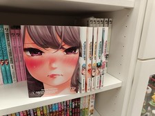 GAISHU ISSHOKU! UN GIOCO DA