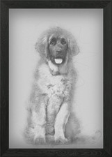 Quadro Leonberger cucciolo 4