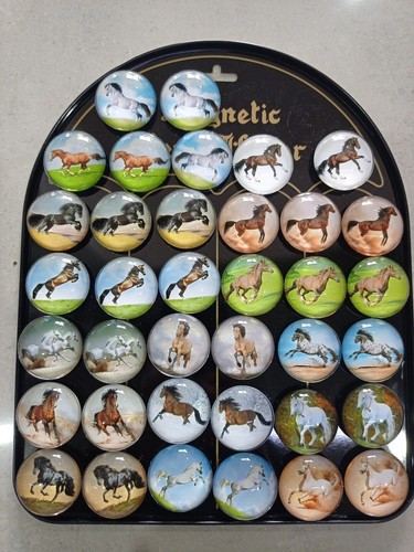 Set3 calamita frigo