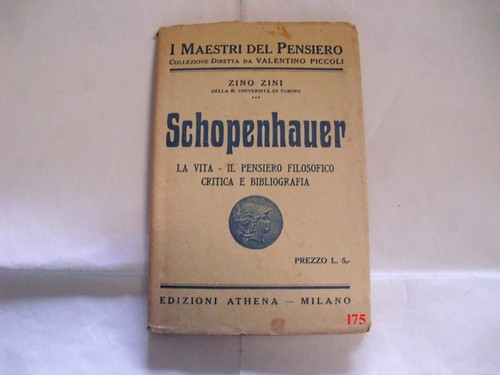 Schopenhauer zino zini - zino,