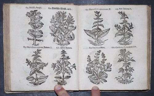 Pankovius herbarium portatile - pankovius,,