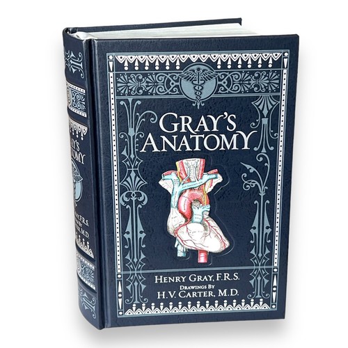 Gray anatomy henry - gray's,