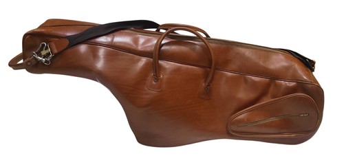 Inghilterra custodia sax - ri,