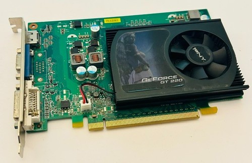 Scheda grafica pny nvidia - grafica,
