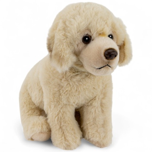 Carl dick cane montagna - cane, da