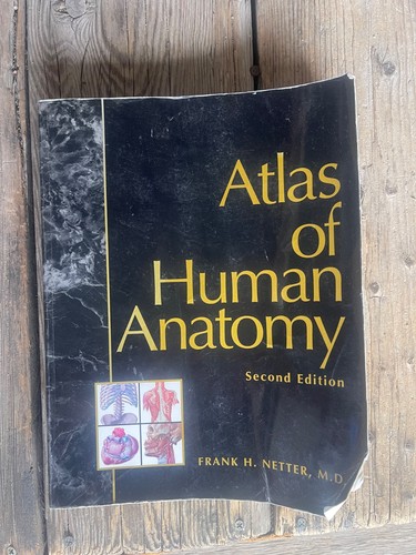 Netters atlas human - atlas, anatomy