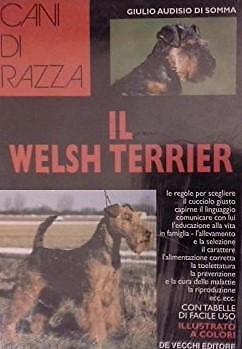 Welsh terrier - welsh,