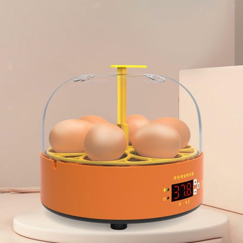Incubatrice per uova mini - incubatrice,