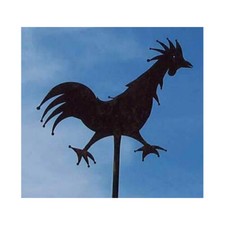 Galletto a vento italiano Pisa