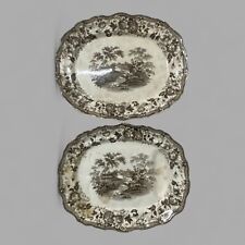 Due grandi piatti Ovali  inglesi marca Royal Cottage JC&S London