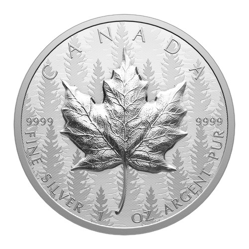 Dollaro ultra altorilievo - dollaro,