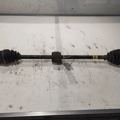 Semialbero ant compl - dx.,