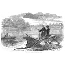 SOUTH CAROLINA Inseguendo il