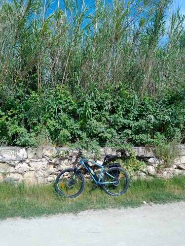 Bici rockrider est - bici,
