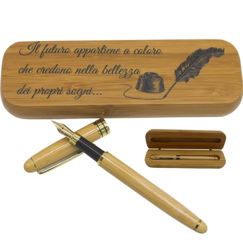 Penna stilografica elegante - penna,