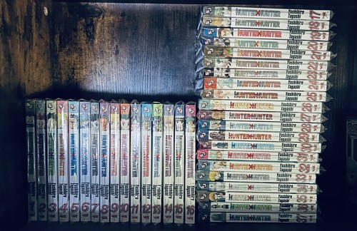 Hunter manga volumi - x,