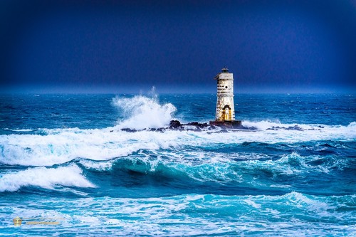 Stampa tela faro mangia - stampa,