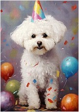 Puzzle Compleanno Bichon Frise